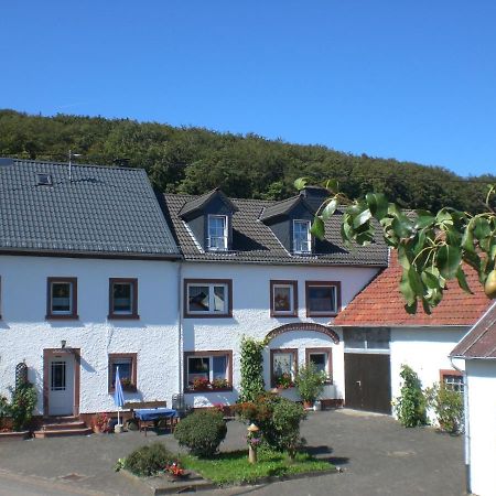 Bauernhof&Ferienwohnung An der Lay Kerpen  Exterior foto