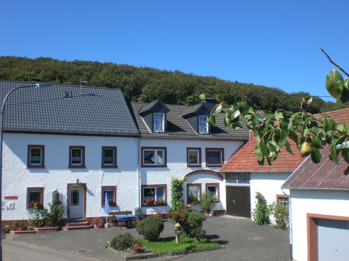 Bauernhof&Ferienwohnung An der Lay Kerpen  Exterior foto