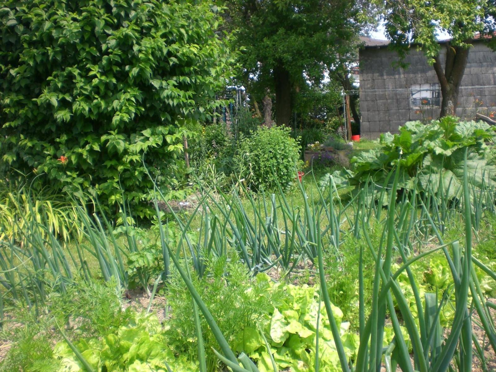 Bauernhof&Ferienwohnung An der Lay Kerpen  Exterior foto