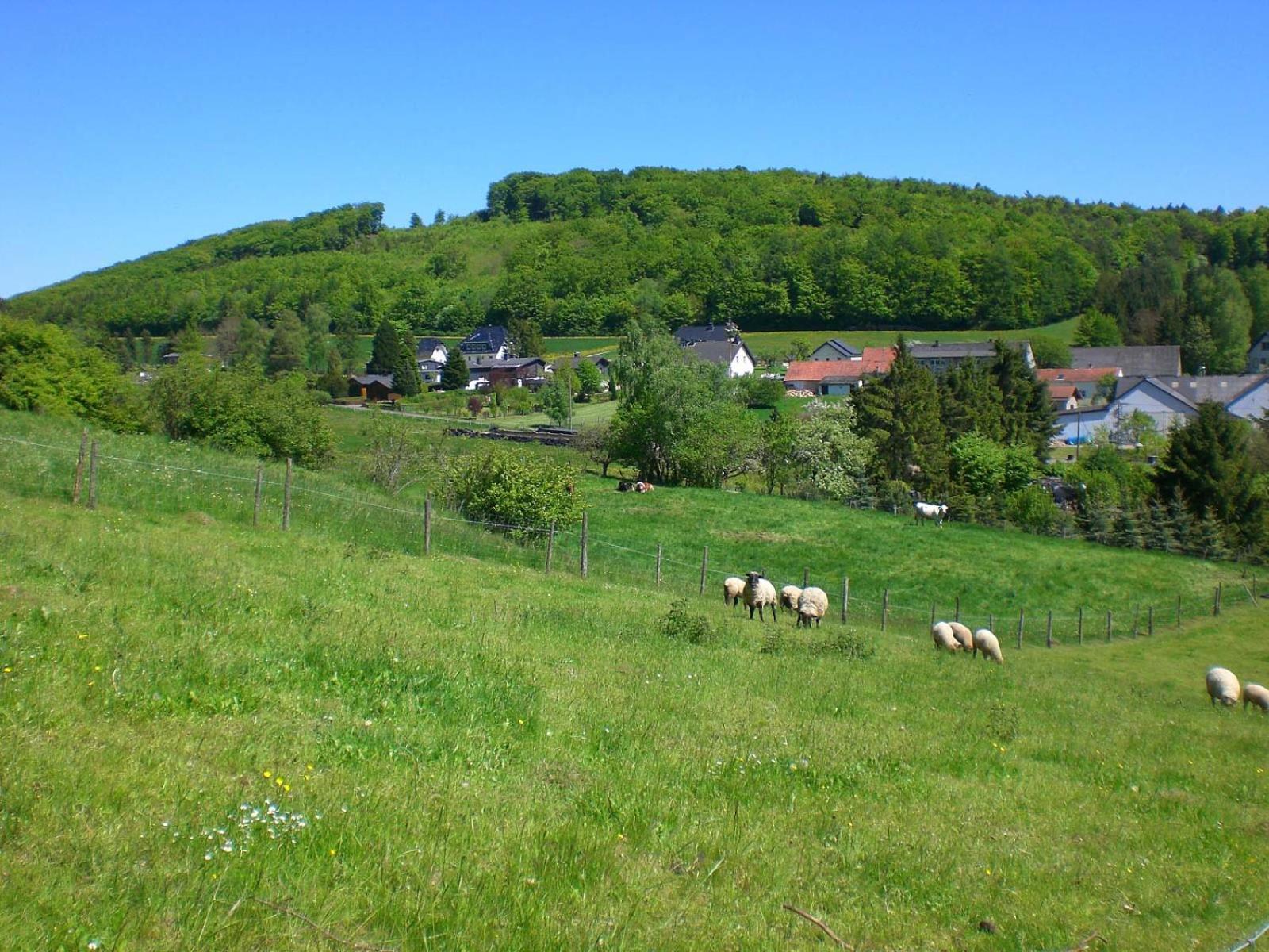 Bauernhof&Ferienwohnung An der Lay Kerpen  Exterior foto