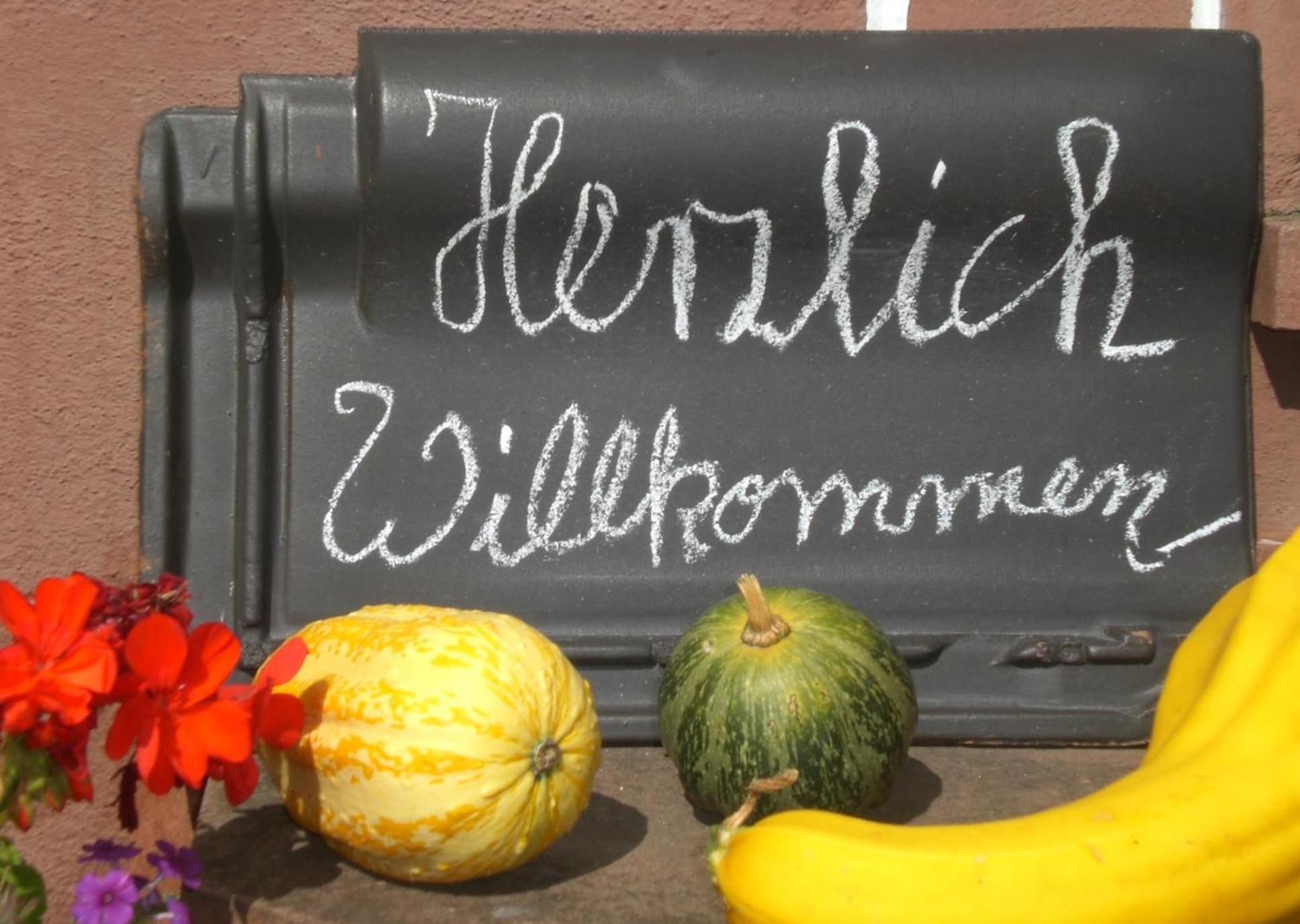Bauernhof&Ferienwohnung An der Lay Kerpen  Exterior foto