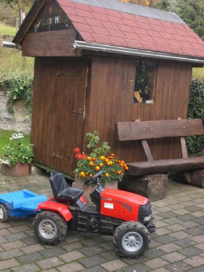 Bauernhof&Ferienwohnung An der Lay Kerpen  Exterior foto